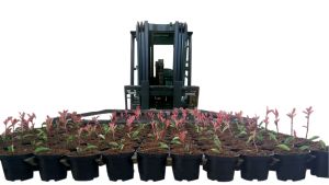Forks for transporting pots