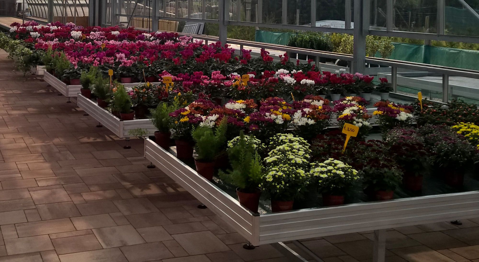 Fixed pallets line GARDEN