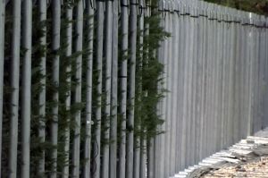 Supports pour les grands arbres