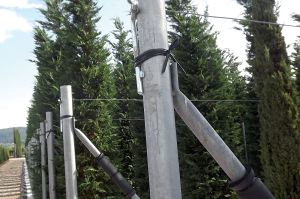 Galvanised iron wire